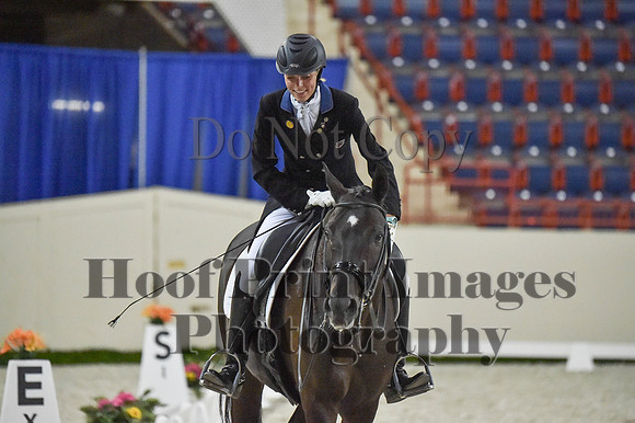 CWdressageI(8-20-16)0709
