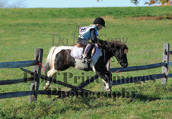 Cheshire(10-19-14)0522