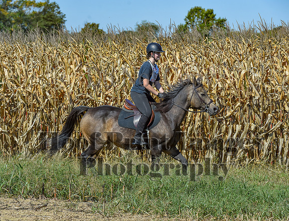 CheshirePonyClubPC(10-6-24)0582