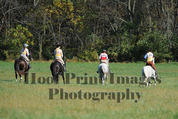 Cheshire(10-20-13)0160