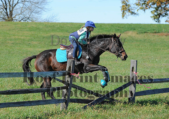 Cheshire(10-19-14)0168