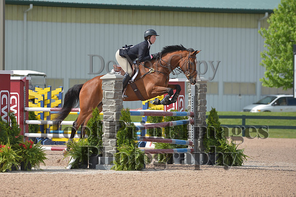 BRSa(5-17-14)HChAdJ0095