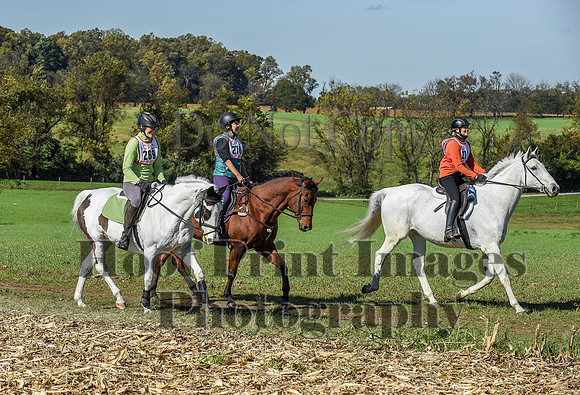 CheshirePC(10-18-20)0575