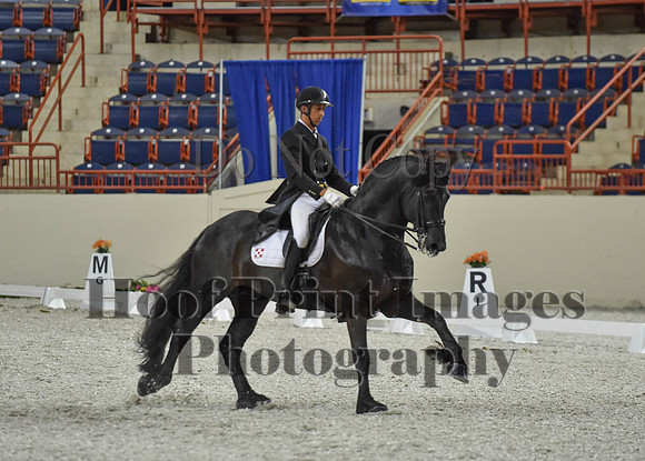 CWdressageI(8-20-16)1646