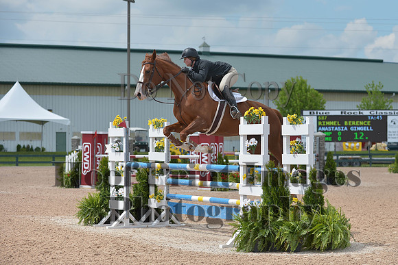 BRSa(5-17-14)HChAdJ0205