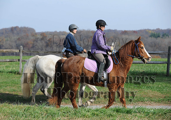 AndrewsBr(11-9-14)0236