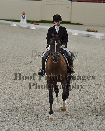 CWdressageII(8-21-16)1479