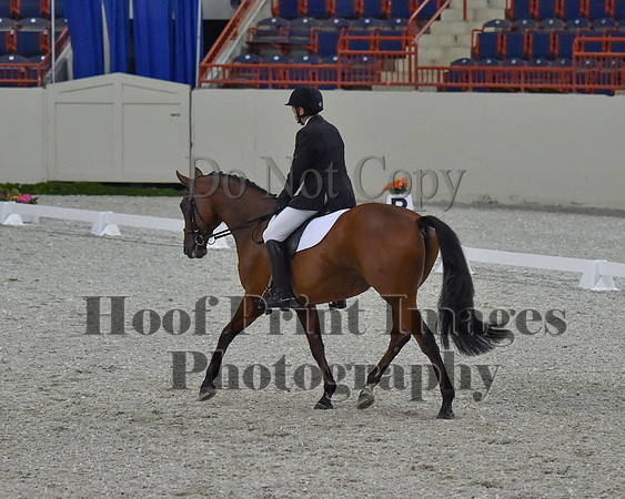 CWdressageII(8-21-16)1027