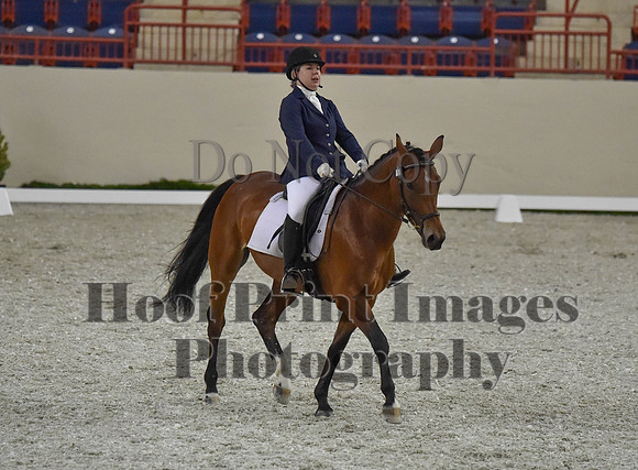 CWdressageI(8-20-16)0382