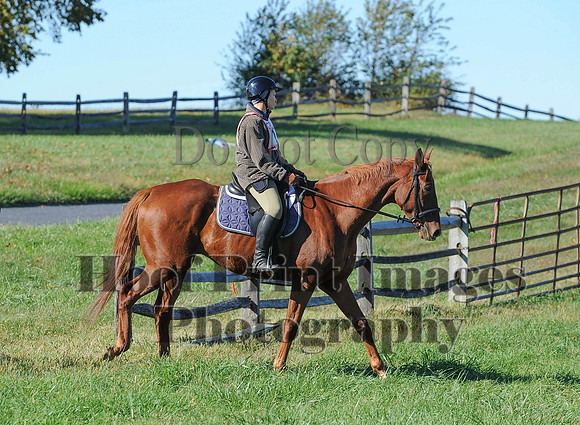 Cheshire(10-19-14)0356