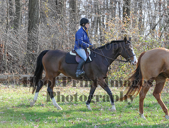 AndrewsBr(11-9-14)0258