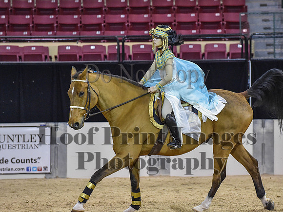 MidAtEqFest(11-14-15)1656