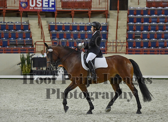 CWdressageI(8-20-16)1303