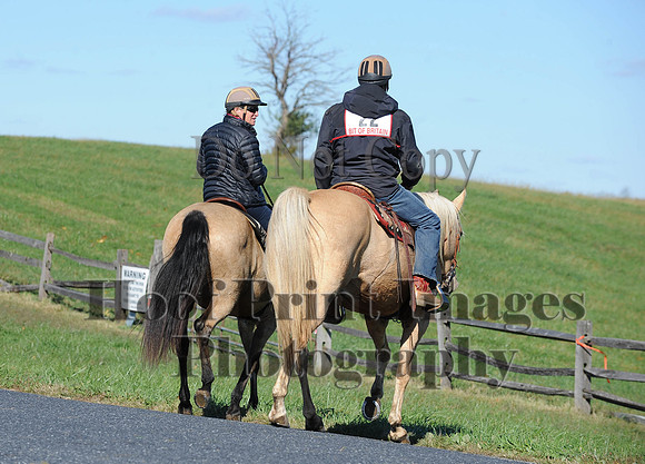 Cheshire(10-19-14)0239