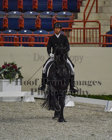 CWdressageII(8-21-16)0576