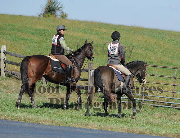 Cheshire(10-20-13)0122