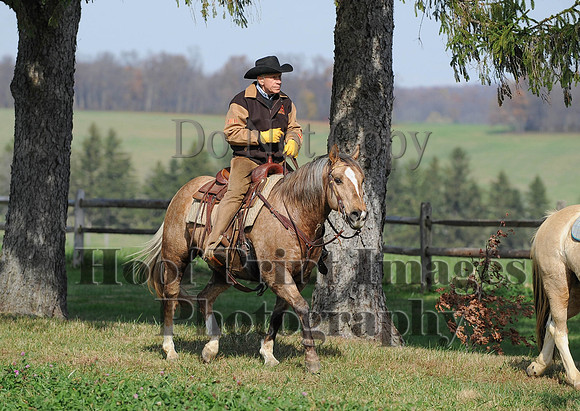 AndrewsBr(11-9-14)0065