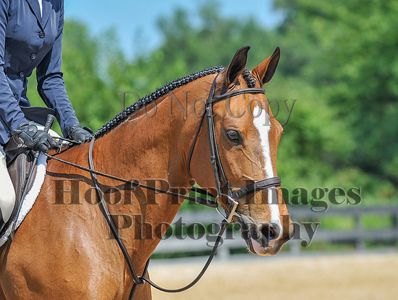 MasonDixonSun2(7-28-24)0166
