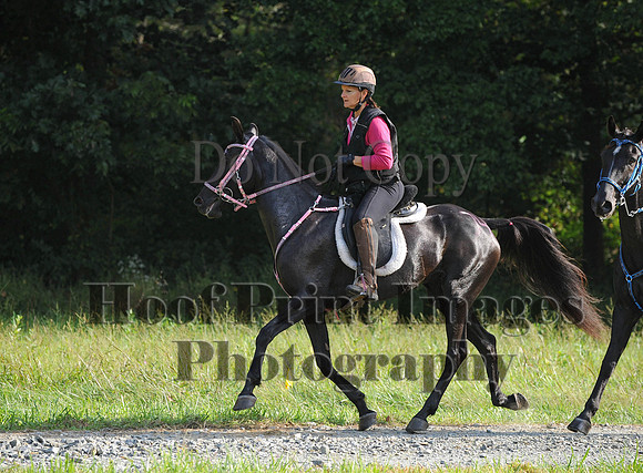 ChesapeakeCTR(9-20-14)0227