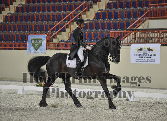CWdressageI(8-20-16)1651