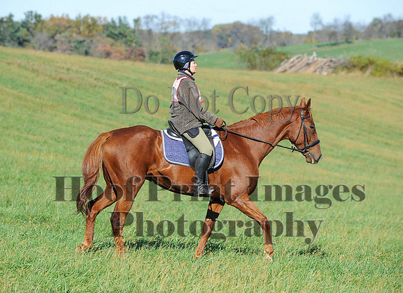 Cheshire(10-19-14)0366