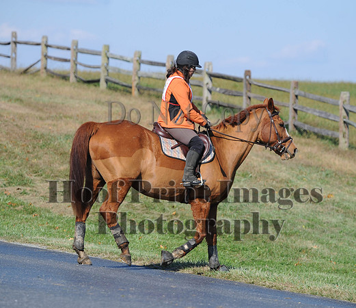 Cheshire(10-20-13)0445