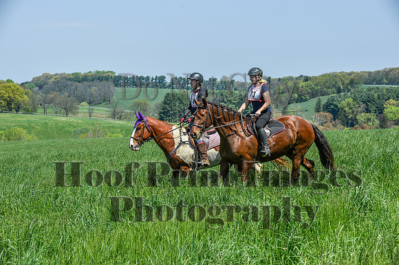 CheshireSpringPC1(4-28-24)0369