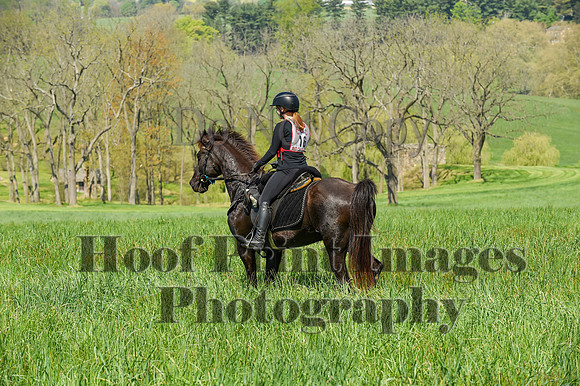 CheshireSpringPC1(4-28-24)0097