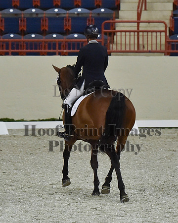CWdressageII(8-21-16)2211