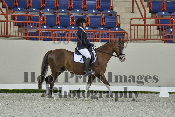 CWdressageI(8-20-16)0578