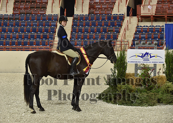 HarrisburgHS(8-23-15)1152