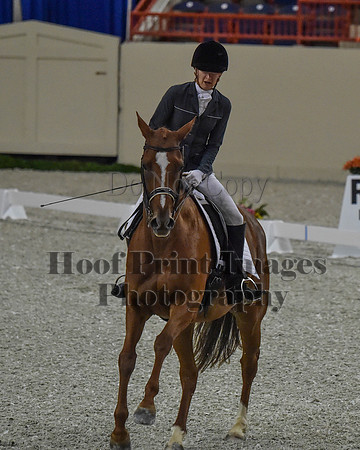 CWdressageII(8-21-16)0109
