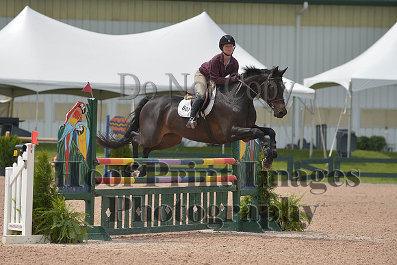 BRSa(5-17-14)HChAdJ0183