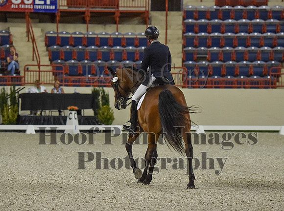 CWdressageI(8-20-16)0485
