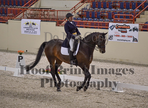 CWdressageI(8-20-16)1621