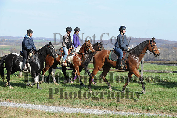 AndrewsBr(11-9-14)0108