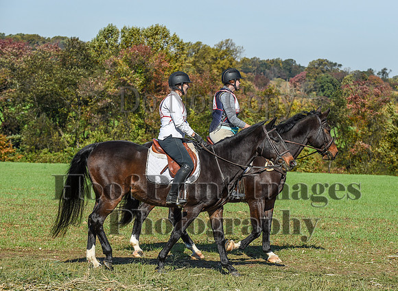 CheshirePC(10-18-20)0420