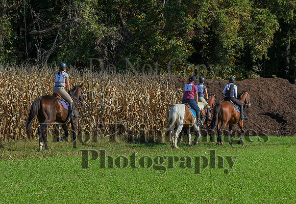 CheshirePonyClubPC(10-6-24)0074