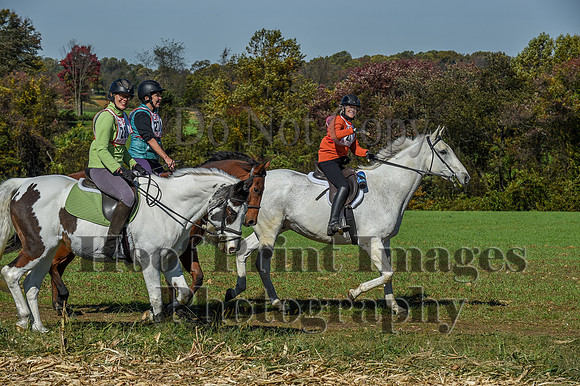 CheshirePC(10-18-20)0580