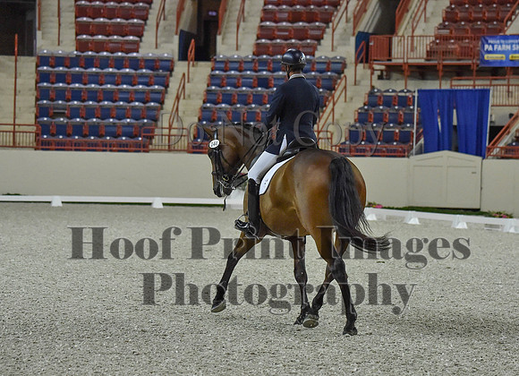 CWdressageI(8-20-16)0474