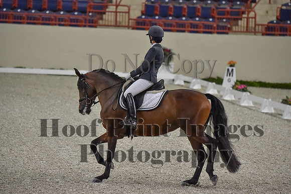 CWdressageI(8-20-16)0026