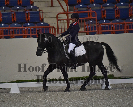 CWdressageII(8-21-16)0044