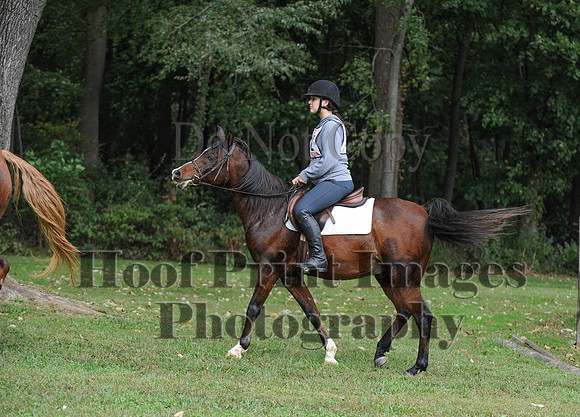 CheshirePC(10-16-16)0513