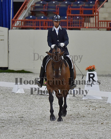 CWdressageII(8-21-16)2285
