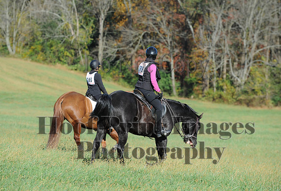 Cheshire(10-19-14)0386