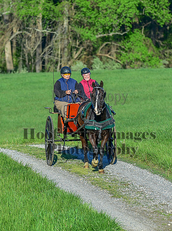 ChesapeakeSpring(4-27-25)0053