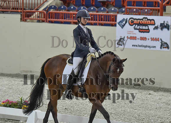 CWdressageI(8-20-16)0333