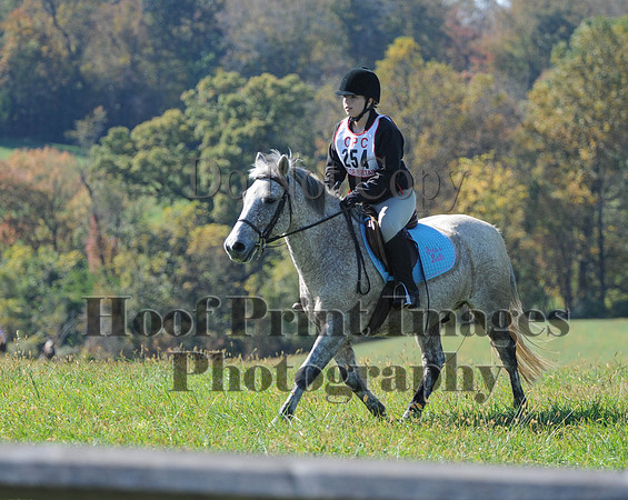 Cheshire(10-20-13)0057
