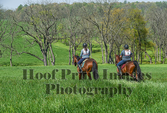 CheshireSpringPC1(4-28-24)0067