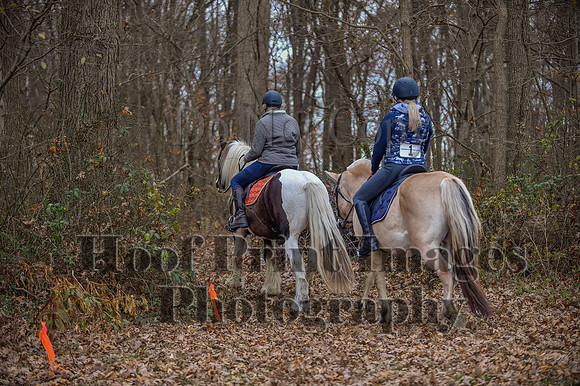 AndrewsBrHuntPace(11-10-24)0113